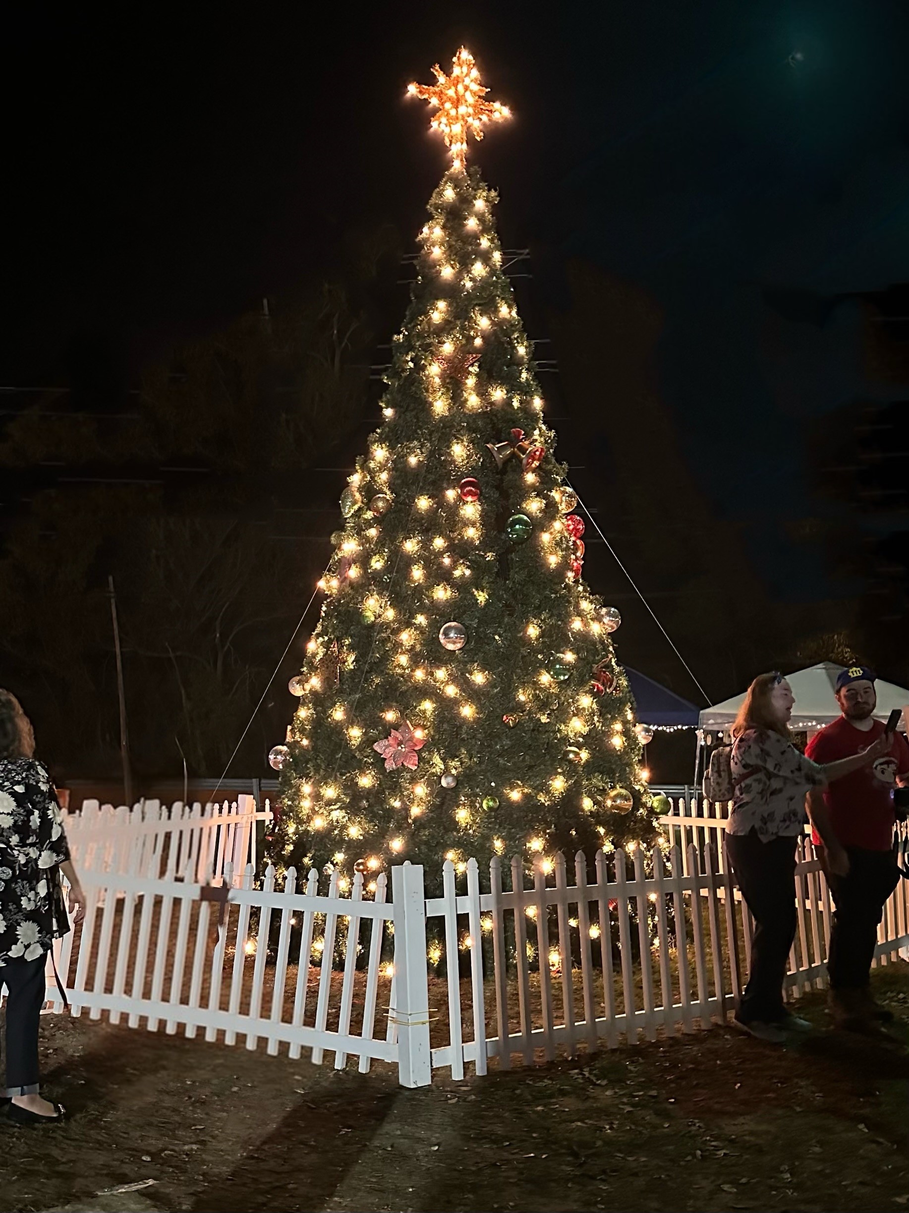 Community Christmas Tree 